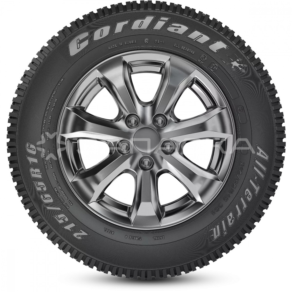Купить 225/70R16 Cordiant All Terrain OA-1 103H в Новосибирске и ...